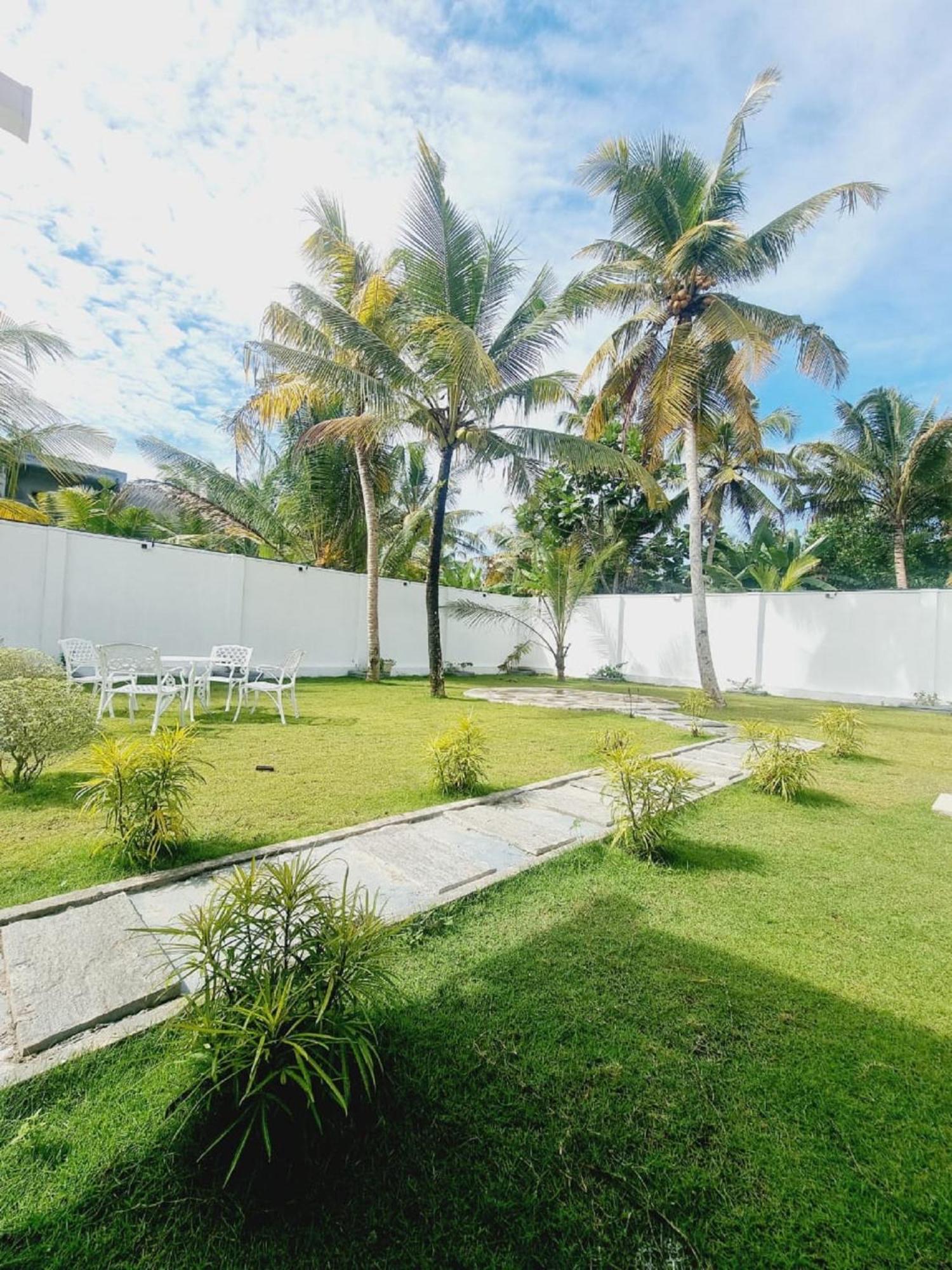 The Calm Villa *
