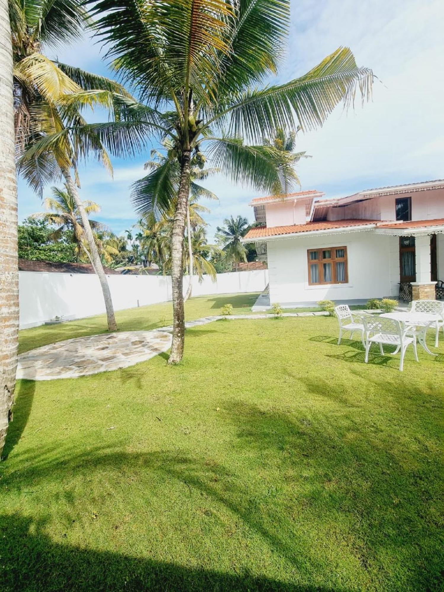 The Calm Villa *